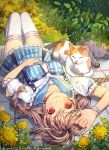  1girl 2016 animal artist_name blue_skirt blush braid breasts brown_hair cat closed_eyes collarbone day english flower flower_bracelet frilled_sleeves frills hand_on_own_stomach kinchee long_hair looking_at_viewer lying on_back on_side on_stomach original outdoors pinky_out red_eyes sailor_collar shirt short_sleeves skirt striped striped_legwear striped_shirt striped_skirt thigh-highs twin_braids watermark white_legwear zettai_ryouiki 