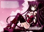  belt blush breasts brown_eyes cat_ears cat_tail chains cleavage collar long_hair purple_hair sitting thigh-highs 