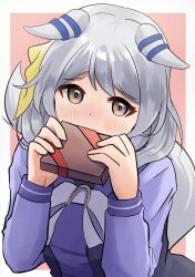  1girl absurdres animal_ears blush border bow bowtie box commentary_request ear_covers gift gift_box grey_hair highres hishi_miracle_(umamusume) holding holding_box holding_gift horse_ears horse_girl horseshoe_ornament k1kojima long_sleeves looking_at_viewer medium_hair pink_background purple_shirt sailor_collar sailor_shirt school_uniform shirt simple_background solo tracen_school_uniform umamusume upper_body valentine white_border white_bow white_bowtie 