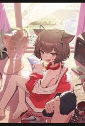  1girl 1other absurdres air_jordan_1 animal_collar animal_ear_hairband animal_ears bag_of_chips bell black_border black_hairband blush border bra breasts brown_hair cat_ears cat_girl cat_tail chips_(food) collar commentary_request commission controller crt day domado electric_fan fake_animal_ears fang flying_sweatdrops food game_controller hair_between_eyes hairband highres indoors jacket jingle_bell joy-con korean_commentary lay's_(potato_chips) letterboxed long_sleeves looking_at_viewer mole mole_under_eye neck_bell nike_(company) no_shoes off_shoulder one-piece_swimsuit open_clothes open_jacket open_mouth original pen plant potato_chips potted_plant pov pov_hands prunechi raised_eyebrow red_collar red_eyes red_jacket red_shoes second-party_source shoes short_hair sitting skin_fang small_breasts sneakers solo_focus sticky_note swimsuit tail tail_grab thigh-highs underwear unworn_shoes white_bra white_one-piece_swimsuit white_thighhighs window windowsill wooden_floor yokozuwari 