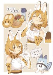  0nanaten 1girl animal_ears belt bento bottle bow bowtie brown_eyes brown_hair cat_ears cat_girl cat_tail chopsticks commentary_request eating elbow_gloves extra_ears food gloves highres kemono_friends looking_at_viewer lucky_beast_(kemono_friends) robot serval_(kemono_friends) shirt short_hair simple_background skirt sleeveless sleeveless_shirt tail translation_request 