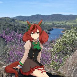  1girl absurdres animal_ears breasts brown_hair fluffy_hair highres horse_ears horse_girl horse_tail juliet_sleeves long_sleeves looking_at_viewer medium_breasts medium_hair multicolored_hair myticalcat nice_nature_(poinsettia_ribbon)_(umamusume) nice_nature_(umamusume) photo_background puffy_sleeves short_twintails sitting smile solo streaked_hair tail twintails umamusume 