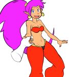  1girl blue_eyes blush cleavage earrings looking_at_viewer navel open_mouth pointy_ears purple_hair shantae shantae_(character) 