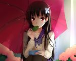  1girl black_hair blush bow brown_hair flower fringe hair_flower hair_ornament holding knees leaf long_hair looking_at_viewer pantyhose qiuzhi_huiyi red_eyes sanka_rea sankarea school_uniform sitting solo touch touching umbrella 