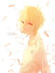  1boy blonde_hair character_name highres looking_at_viewer ly male_focus noragami petals shirt solo upper_body white_background white_shirt yellow_eyes yukine_(noragami) 