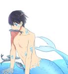  1boy fish free! male_focus merman monster_boy nanase_haruka_(free!) tagme 