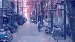  alley artist_request bicycle no_humans outdoors petals scenery spring tree 