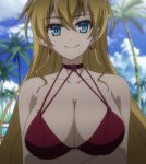  1girl bikini blonde_hair blue_eyes breasts claire_harvey cleavage clouds earrings hundred large_breasts long_hair screencap smile solo stitched swimsuit upper_body 