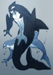  2boys abs bachikin_(kingyo155) blue_background claws fish_tail full_body gradient gradient_background highres male_focus merman monster_boy multiple_boys muscle no_eyes orca original simple_background smile 