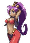  1girl armpits blue_eyes breasts cleavage dark_skin earrings jewelry long_hair looking_at_viewer navel pointy_ears purple_hair shantae shantae_(character) smile solo very_long_hair wayforward 