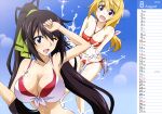  2girls absurdres ahoge bare_shoulders bikini black_hair blonde_hair blue_eyes blush breasts calendar charlotte_dunois cleavage hair_ribbon highres infinite_stratos large_breasts long_hair looking_at_viewer multiple_girls official_art open_mouth ribbon shinonono_houki smile swimsuit yuuki_homura 