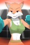  1girl artist_request boxing boxing_gloves breasts brown_eyes female fox furry open_mouth solo 