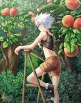  1boy apple blush boots child food fruit hunter_x_hunter killua_zoldyck male_focus outdoors plaster shailo shirt shirt_lift short short_hair shorts sleeveless sleeveless_shirt solo tree white_hair 