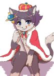  1girl blue_eyes cat crown female furry hat purple_hair short_hair solo toraneko_(38) white_background 