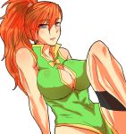  1girl bare_shoulders blush breasts cleavage cleavage_cutout dress earrings jewelry large_breasts long_hair looking_at_viewer mary_argent muscle open_mouth orange_hair ponytail solo tales_of_(series) tales_of_destiny violet_eyes 