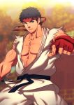  1boy abs black_hair looking_at_viewer male_focus muscle nature outdoors pecs plant ryuu_(street_fighter) solo street_fighter sweat tagme torn_clothes undressing 