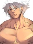  1boy bara looking_at_viewer male_focus muscle nikism nipples pecs silver_hair solo tagme topless 