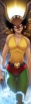  1girl belt dc_comics dcau feathered_wings female green_legwear hawkgirl helmet mace mask sleeveless solo weapon wings yellow_shirt 