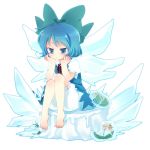  bloomers blue_eyes blue_hair chaba_(hortensia) cirno feet flower frog ice short_hair touhou wings 