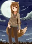  blush brown_hair full_moon goro holo long_hair moon red_eyes spice_and_wolf tail wolf_ears 
