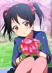  1girl black_hair blush female flower icehotmilktea long_hair love_live!_school_idol_project red_eyes ribbon sakura_fumi twintails yazawa_nico 