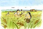  animal bird black_hair long_hair lowres rice rice_paddy yayoi_period 