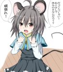  1girl animal_ears mouse_ears nazrin red_eyes short_hair tail touhou translation_request warabe_yume 