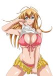  00s bikini breasts ikkitousen large_breasts sonsaku_hakufu swimsuit tagme 