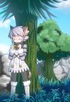  1girl artist_request blush boots brown_eyes cat elh_melizee female furry grey_hair nature outdoors plant sky solatorobo solo 