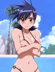  1girl akahori_gedou_hour_rabuge bare_shoulders bikini blue_hair blush breasts brown_eyes cleavage clouds covering covering_breasts embarrassed female large_breasts looking_at_viewer navel palm_tree red_bikini sashima_kaoruko screencap solo standing stitched swimsuit tree 