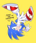  1boy furry gloves sega sonic sonic_the_hedgehog 