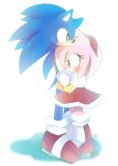  1boy 1girl amy_rose furry gloves sega sonic sonic_the_hedgehog 