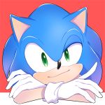  1boy furry gloves sega sonic sonic_the_hedgehog 