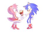  1boy 1girl amy_rose furry gloves sega sonic sonic_the_hedgehog 