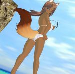  1girl 3d 3d_custom_girl artist_request bikini blue_eyes breasts brown_hair dog female furry long_hair ocean outdoors sky solo swimsuit 