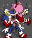  1boy 1girl amy_rose blood cicada_block furry gloves sega sonic sonic_the_hedgehog 