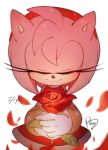  1girl amy_rose flower furry gloves rose sega sonic_the_hedgehog 