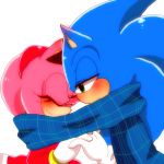  1boy 1girl amy_rose blush furry gloves sega sonic sonic_the_hedgehog 