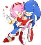  1boy 1girl amy_rose furry gloves sega sonic sonic_the_hedgehog 