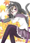  1girl akemi_homura animal_ears argyle argyle_legwear black_hair blush braid capelet cat_ears cat_tail fish glasses hairband kemonomimi_mode long_hair magical_girl mahou_shoujo_madoka_magica mouth_hold pantyhose pleated_skirt red-framed_glasses skirt solo tail tsubaki_(tatajd) twin_braids violet_eyes 