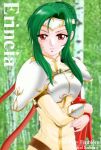  1girl character_name copyright_name erincia_(fire_emblem) eyebrows female fire_emblem green_hair nintendo red_eyes solo starlight_express tagme 