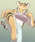  1girl artist_request furry gradient gradient_background green_eyes pose solo tiger 