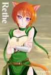  1girl cat_ears cat_tail female fire_emblem highres lethe nintendo solo starlight_express tagme tail 