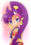  1girl artist_request blue_eyes breasts cleavage gradient gradient_background looking_at_viewer pointy_ears ponytail purple_hair shantae shantae_(character) solo wayforward 