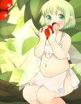  1girl akitaka_(mcdonnell-douglas) belly blush fairy_wings fang food fruit green_eyes green_hair in_tree looking_at_viewer midriff navel open_mouth original plump short_hair sitting skirt solo tree wings 