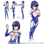  1girl ass blue_hair breasts butt_crack character_sheet large_breasts reiko_kanna star_jewel 