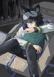 1boy 255ten absurdres animal_ear_piercing animal_ears arknights black_hair black_pants blue_hoodie box cardboard_box chinese_commentary commentary_request feet_out_of_frame green_eyes hair_between_eyes highres holding hood hood_down hoodie in_box in_container indoors jacket long_sleeves looking_at_viewer male_focus pants short_hair sitting sleep_mask solo vigil_(arknights) vigil_(the_other_side_of_siracusa)_(arknights) white_jacket wolf_boy wolf_ears 