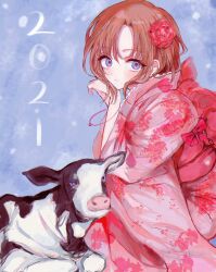  1girl 2021 bad_id bad_twitter_id blue_background blue_eyes chinese_zodiac commentary cow floral_print floral_print_kimono flower fuyu_(wldnrowldnro) hair_flower hair_ornament highres higurashi_no_naku_koro_ni inactive_account japanese_clothes kimono looking_at_viewer orange_hair parted_bangs print_kimono red_flower red_kimono ryuuguu_rena solo squatting year_of_the_ox 