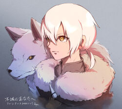  1boy animal closed_mouth coat fumetsu_no_anata_e fur-trimmed_coat fur_trim fushi_(fumetsu_no_anata_e) grey_background hair_between_eyes highres koya10305 looking_ahead male_focus ponytail short_ponytail simple_background the_nameless_boy_(fumetsu_no_anata_e) translation_request white_hair winter_clothes wolf 