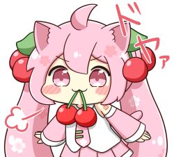  1girl :3 animal_ears blush_stickers cat_ears cat_girl cat_tail cherry cherry_hair_ornament chibi chibi_only closed_mouth commentary_request detached_sleeves double-parted_bangs food food-themed_hair_ornament fruit hair_between_eyes hair_ornament hatsune_miku kemonomimi_mode long_hair mouth_hold nukotun pink_eyes pink_hair sakura_miku simple_background solo tail twintails upper_body v-shaped_eyebrows vocaloid white_background 